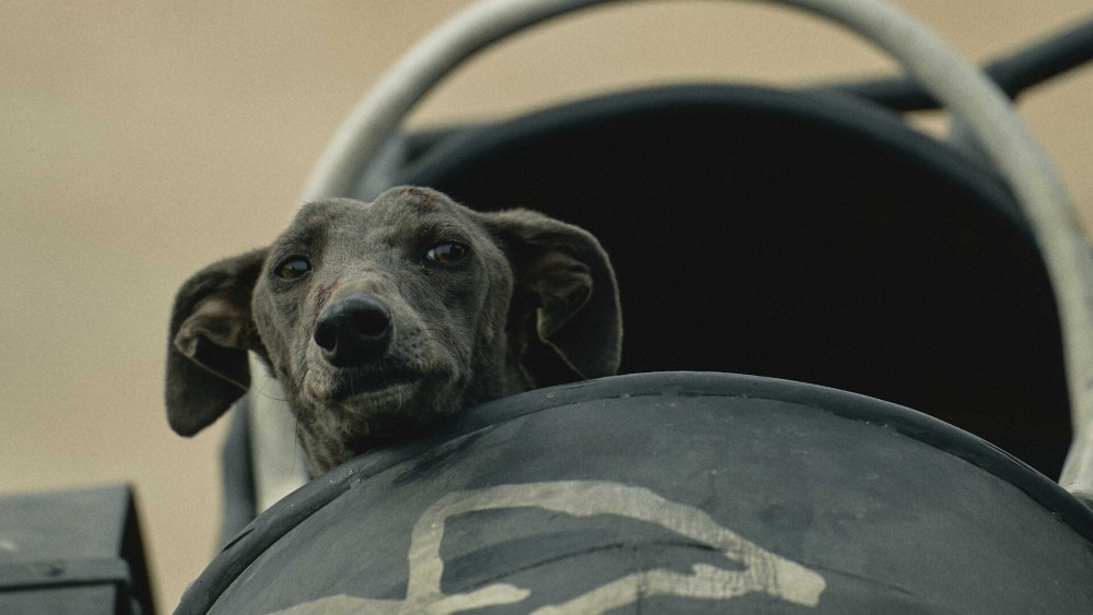 Jelenet a „Fekete kutya” című filmből  Kép Forrása: Magyarhangya